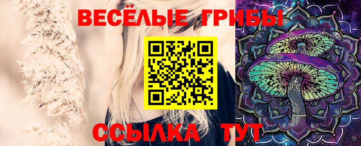 Галлюциногенные грибы Psilocybe  Вход с VPN  Кириши 